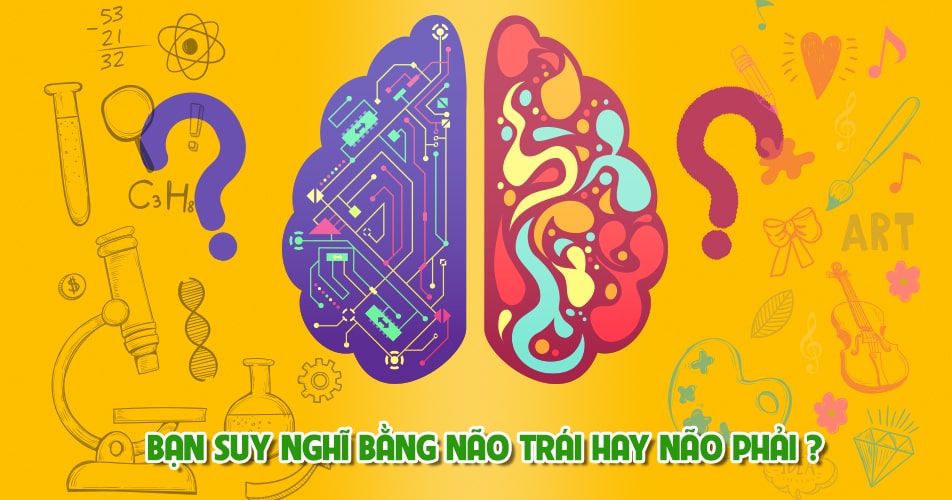 Bạn suy nghĩ thiên về não trái hay não phải?