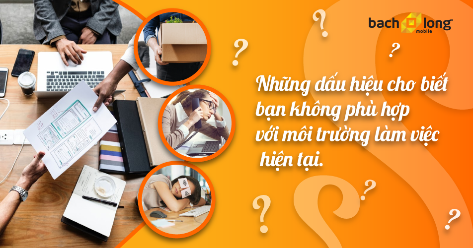 Những dấu hiệu cho thấy bạn không phù hợp với môi trường làm việc hiện tại