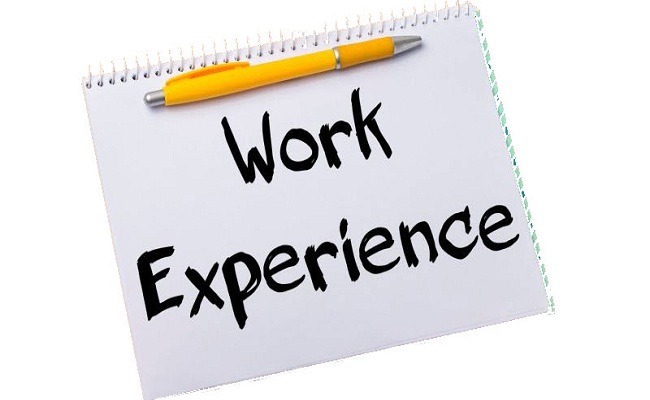 Kinh nghiệm làm việc của bạn ?